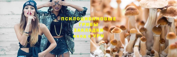 трава Краснотурьинск