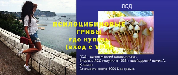 PSILOCYBIN Красноперекопск