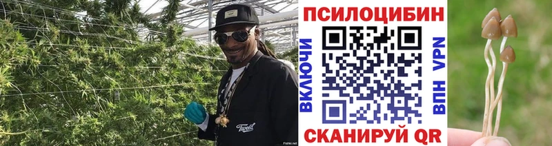 Купить закладки  Юрюзань  Псилоцибиновые грибы мухоморы 