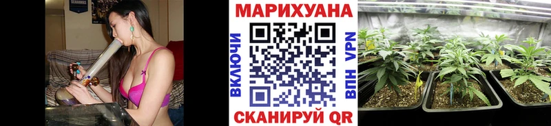 Бошки марихуана OG Kush  Купить закладки  Юрюзань 